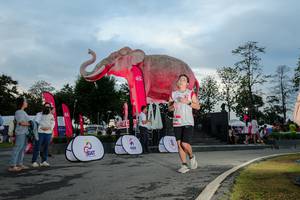 BIB: 
                            <button type="button" onclick="openModal(26529408)" class="btn btn-primary btn-sm float-right btn-popup" data-toggle="modal" data-target=".modal-high-quality">
                        <i class="fas fa-shopping-cart"></i> Add to Cart
                    </button>
                                            <button type="button" onclick="isThisMe(26529408, true)" class="btn btn-success btn-sm float-right btn-popup btn-isme hidden" data-toggle="tooltip" data-placement="bottom" title="นี่คือรูปของคุณใช่ไหม คลิกที่นี่เพื่อเอาเข้าอัลบั้ม">
                        <i class="fas fa-plus"></i> Add to album
                    </button>
                    <button type="button" onclick="isThisMe(26529408, false)" class="btn btn-warning btn-sm float-right btn-popup btn-isnotme hidden">
                        <i class="fas fa-ban"></i> Remove from album
                    </button>